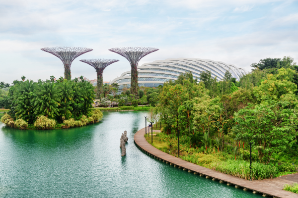 Day 3 - Gardens by the Bay Experience