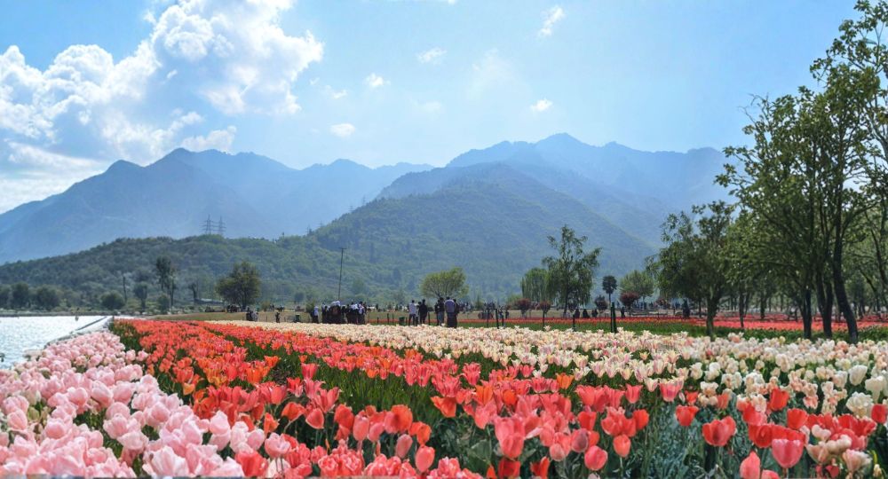 Day 1: Arrival in Srinagar
