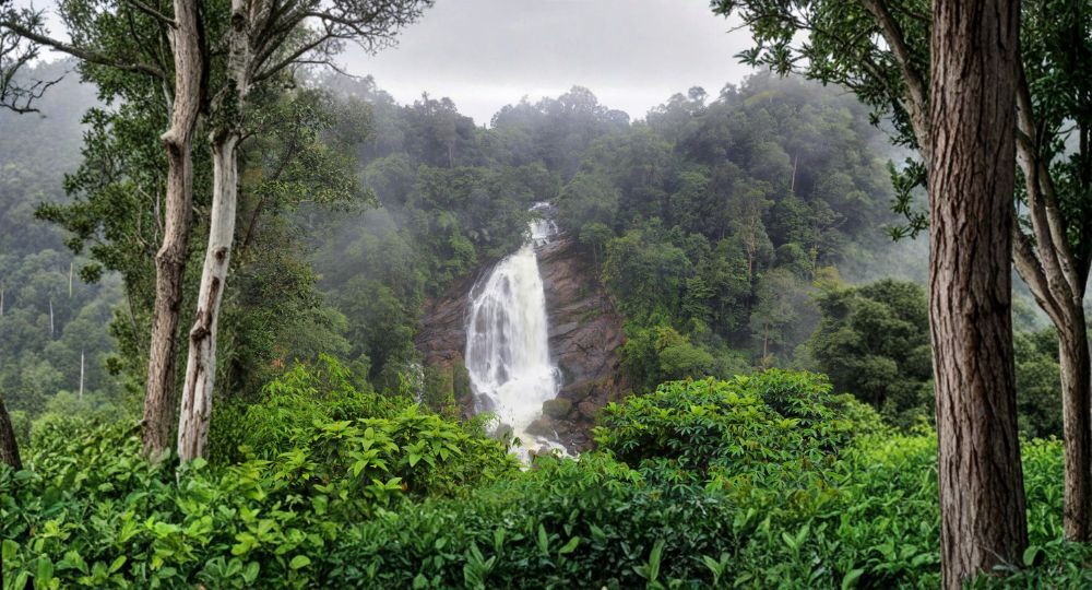 Day 2: Cochin → Munnar