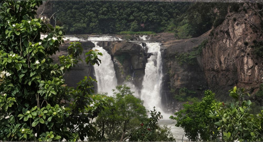 Day 1: Cochin → Athirappilly Waterfalls