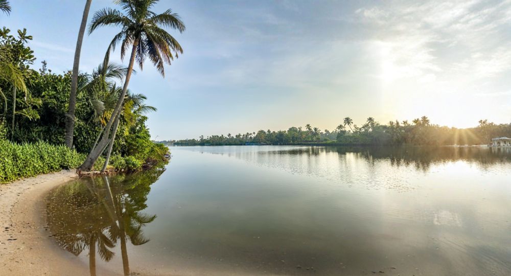 Day 3: Munnar → Alleppey