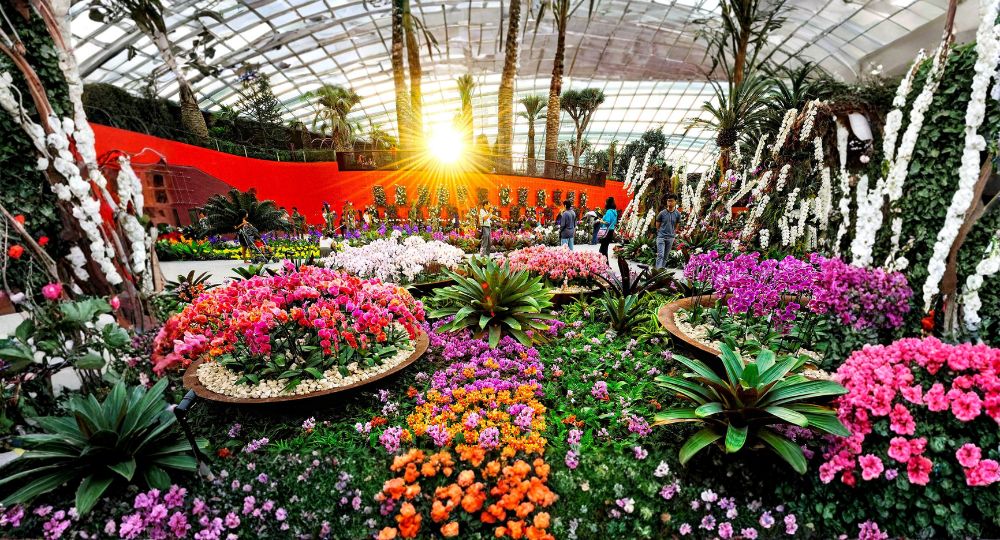 Day 4: Gardens by the Bay