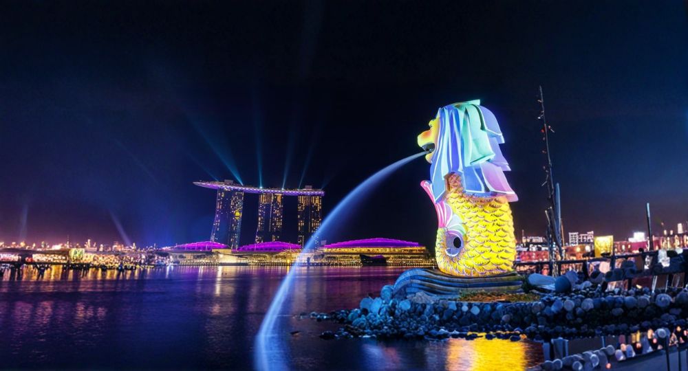 Day 2: Singapore City Tour & SkyPark