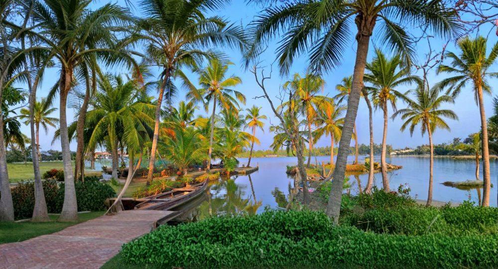 Day 3: Thekkady → Alleppey (Backwaters)