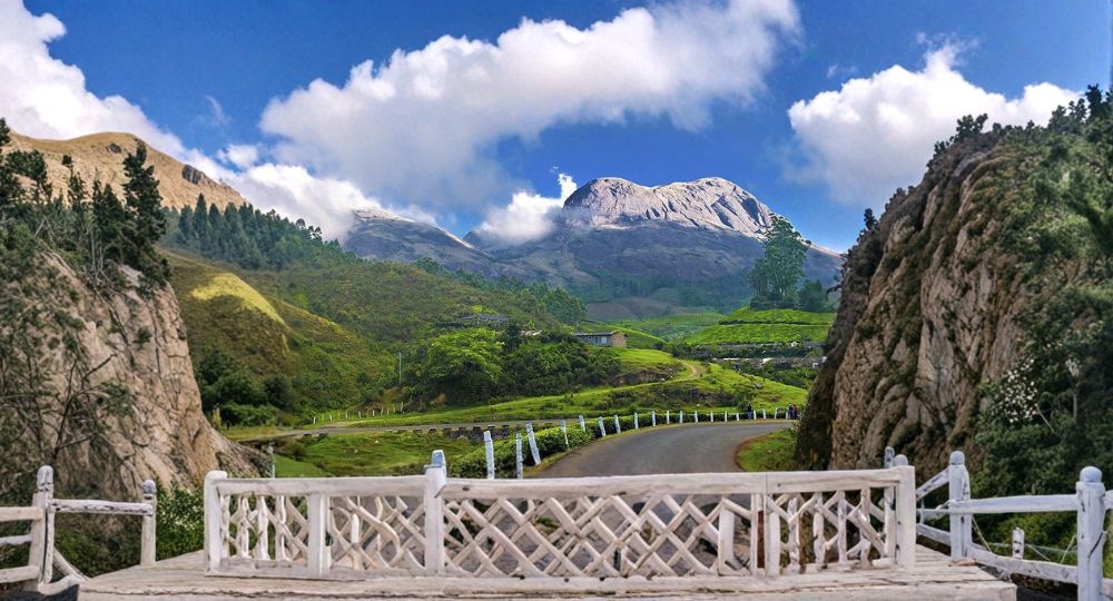 Day 1: Cochin → Munnar