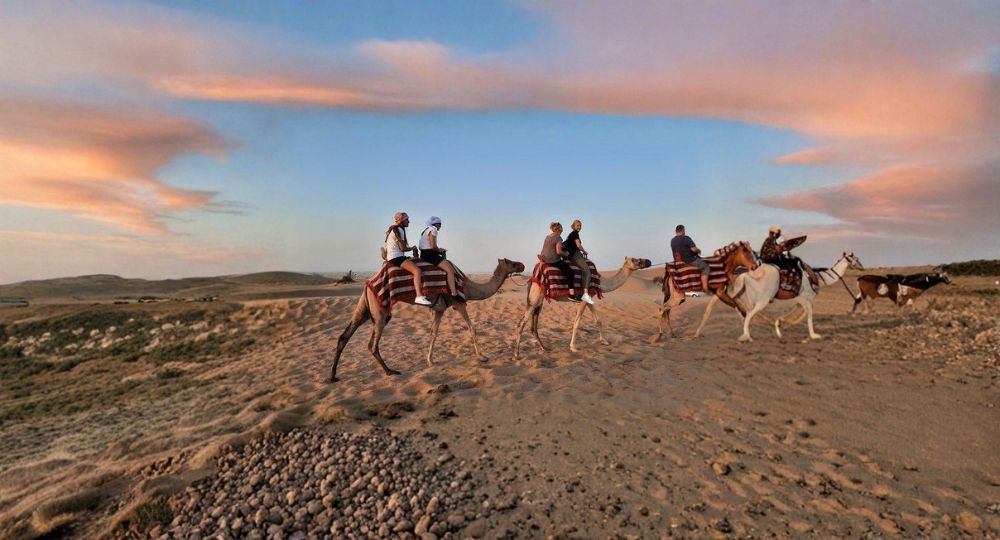 Day 4 – Desert Safari Adventure
