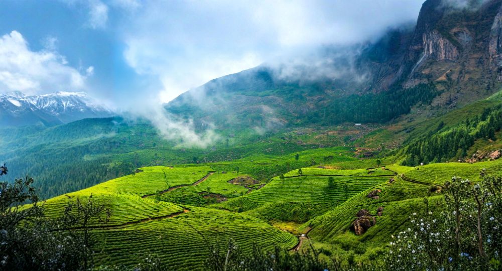 Day 2: Munnar Sightseeing