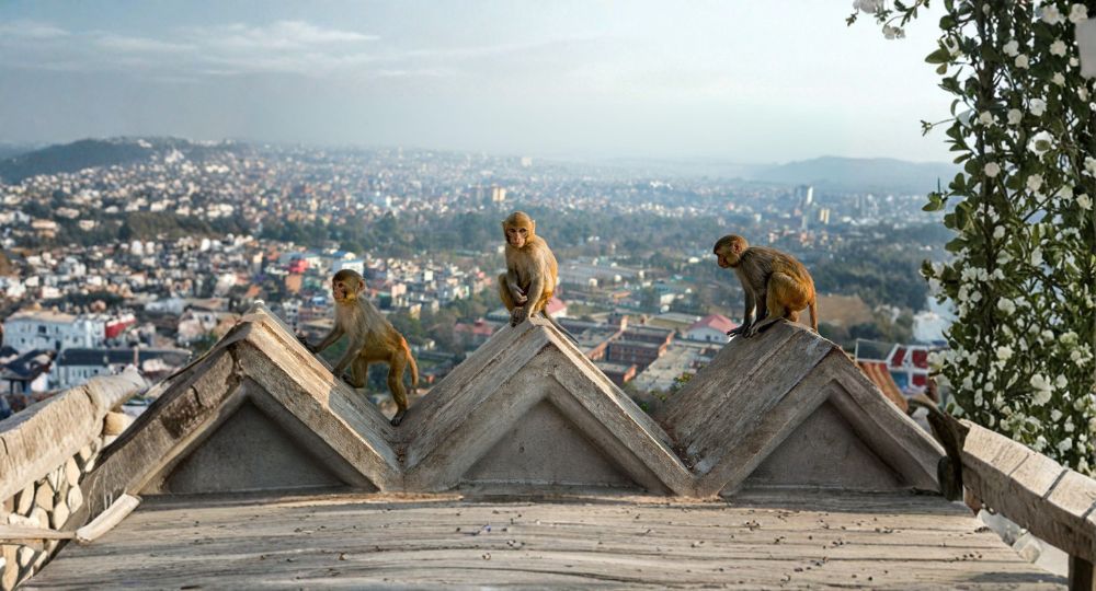 Day 2: Kathmandu Sightseeing