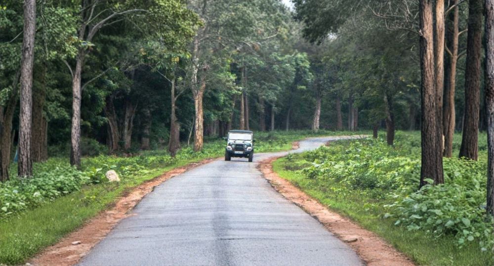 Day 3: Ooty → Bangalore
