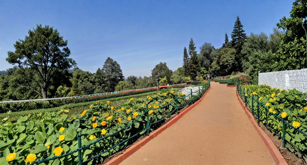 Day 2: Ooty Sightseeing