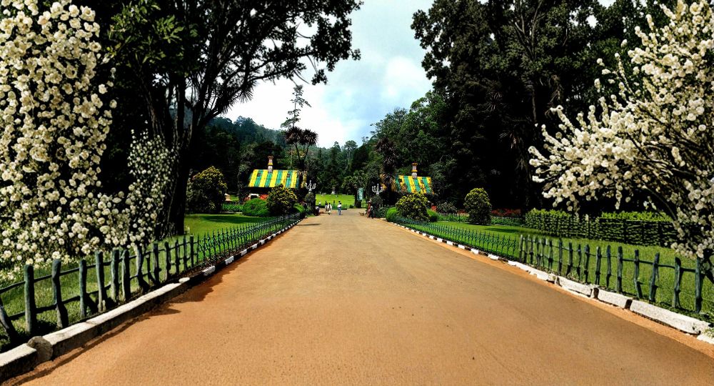 Day 2: Ooty & Coonoor Sightseeing