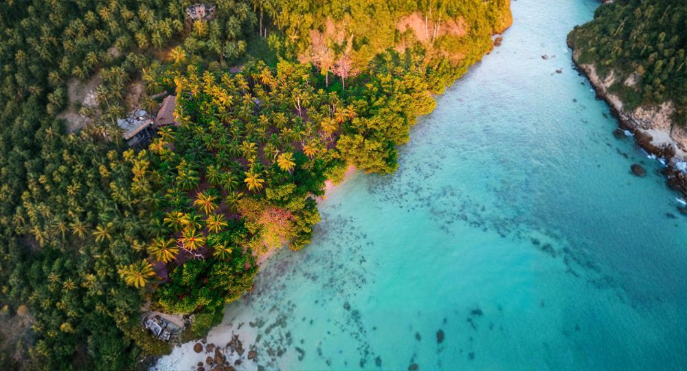 Day 3: Havelock Island Excursion