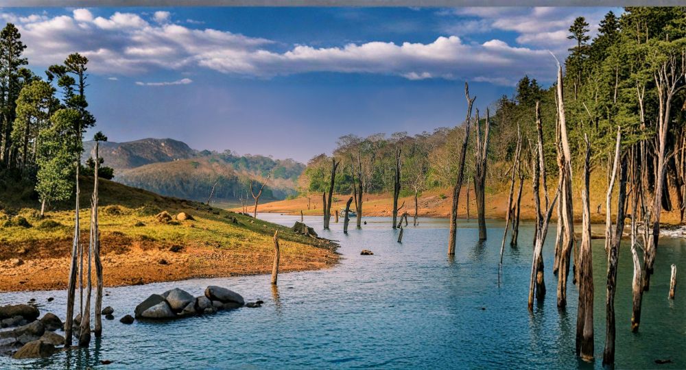 Day 3: Munnar → Thekkady