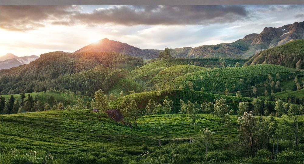 Day 2: Athirappilly → Munnar