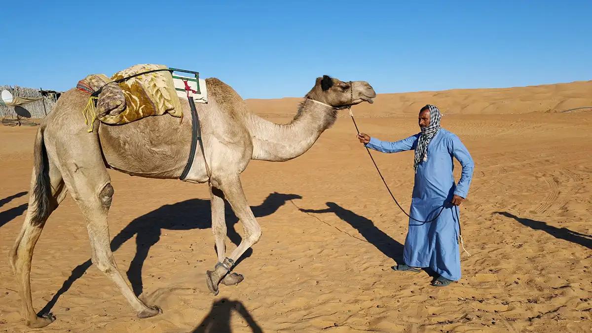 Day 5: Wahiba Sands – Wadi Bani Khalid – Departure