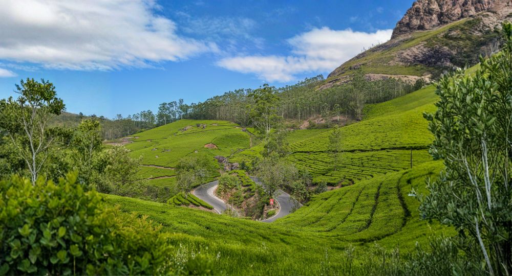 Day 1 – Arrival in Delhi & Transfer to Ranikhet