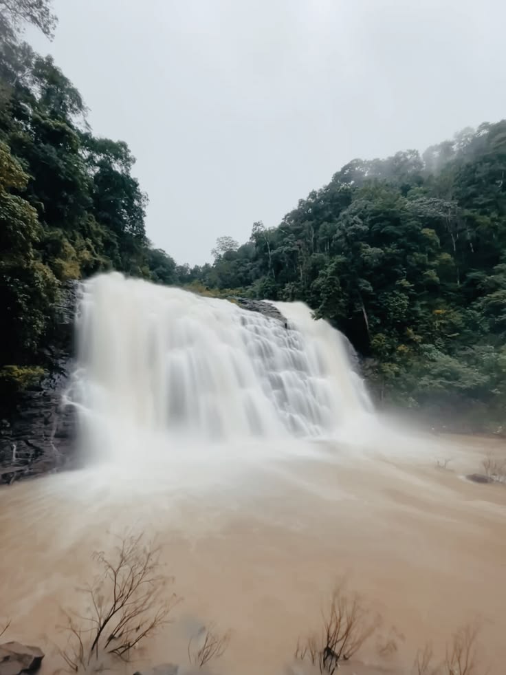 Day 4: Coorg Sightseeing