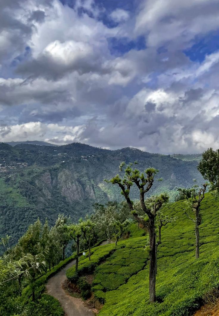 Day 6: Ooty Sightseeing