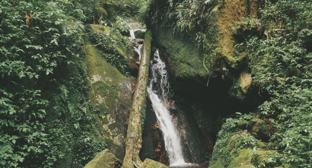 Day 3 – Barkot – Yamunotri – Barkot