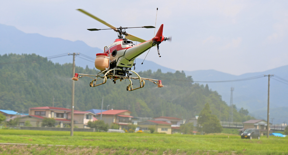 Day 7 – Guptkashi – Kedarnath – Guptkashi (By Helicopter)