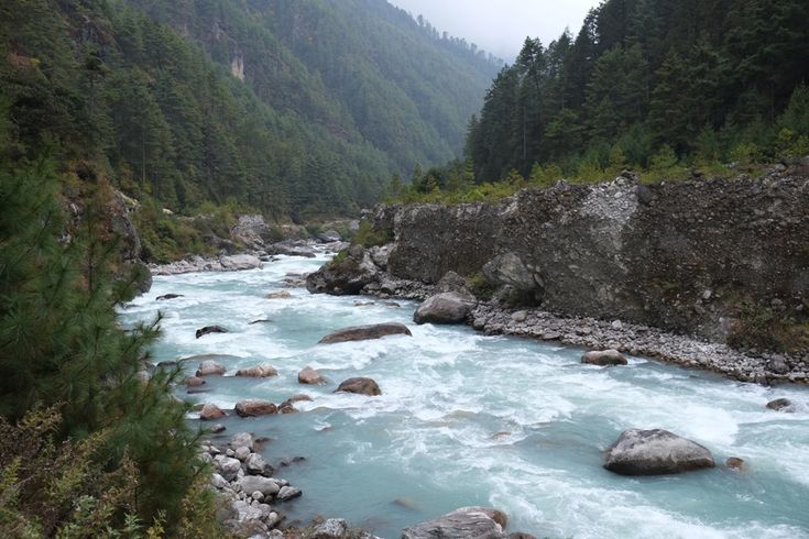 Day 2: Corbett Safari & Garjia Devi Temple