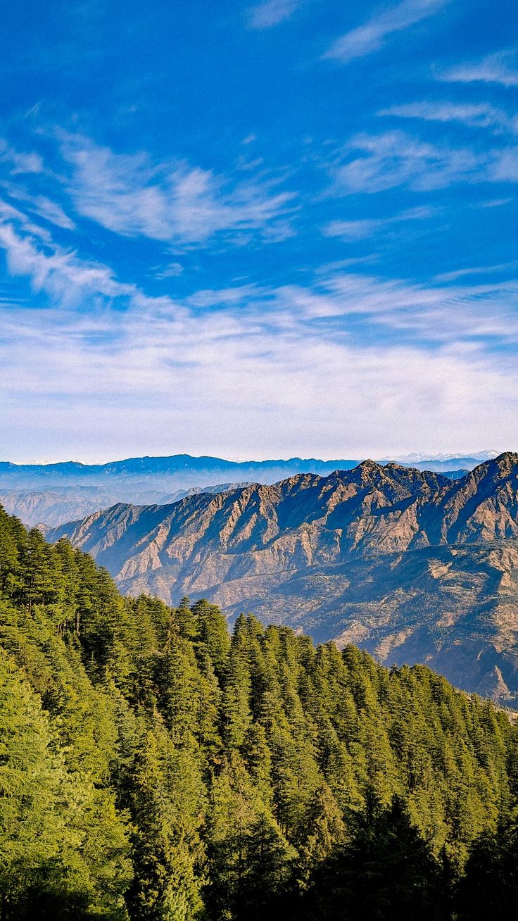Day 2 – Shimla Sightseeing | Excursion to Kufri