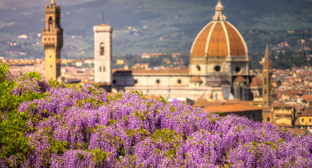 Day 11 – Pisa | Florence | Tuscany