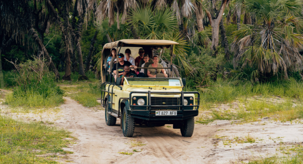 Day 5: Elephant Safari & Jeep Safari in Kaziranga
