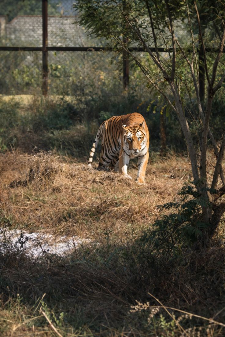 Day 1: Delhi – Jim Corbett National Park