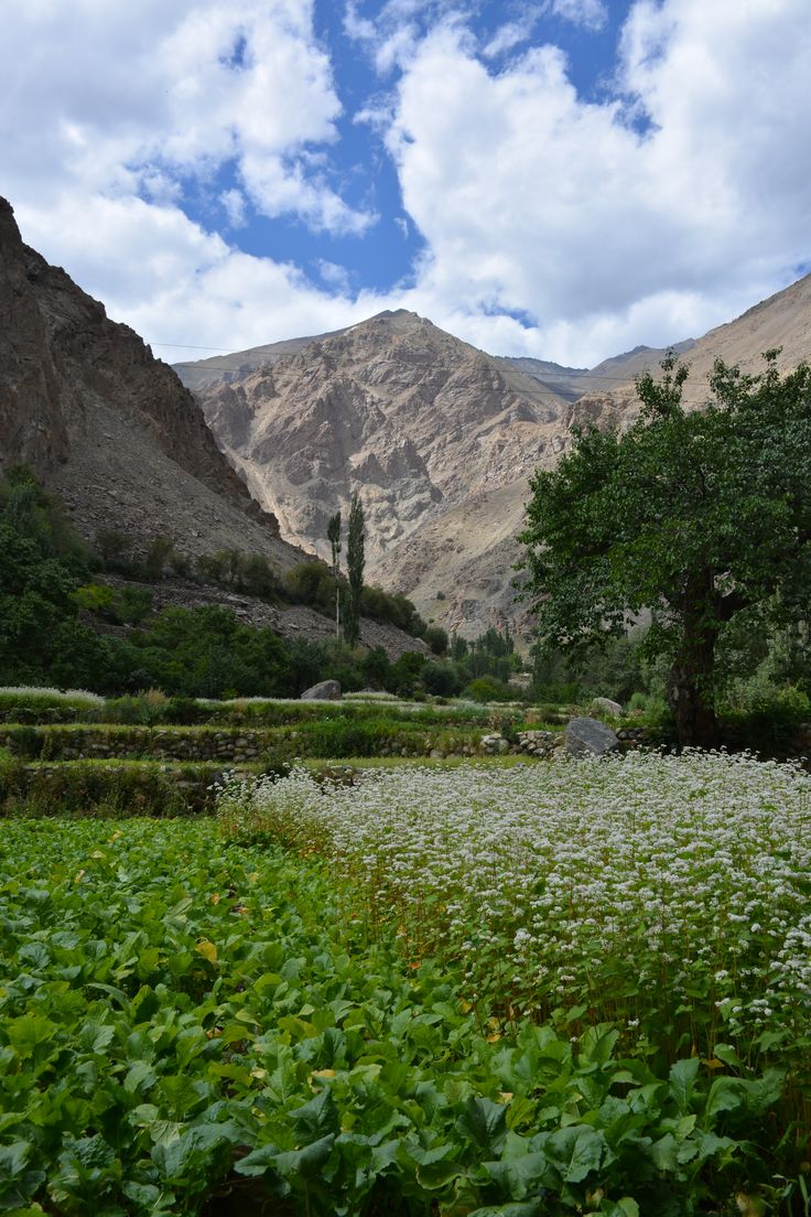Day 4 – Excursion to Turtuk Village