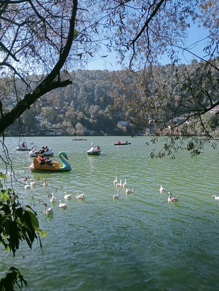 Day 3: Nainital City Tour