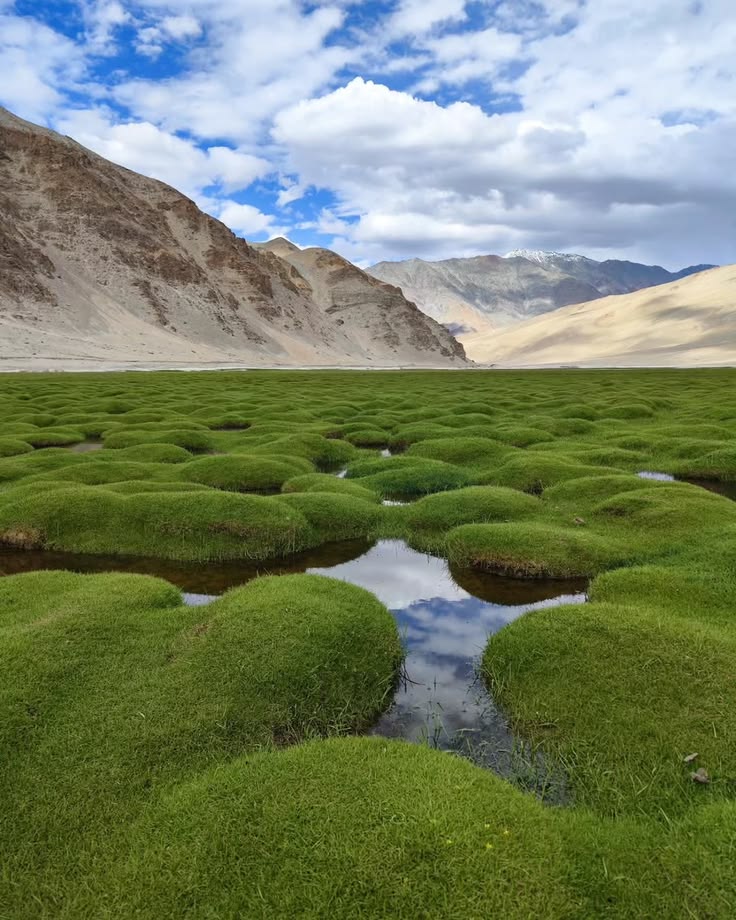 Day 7 – Tso Moriri to Leh