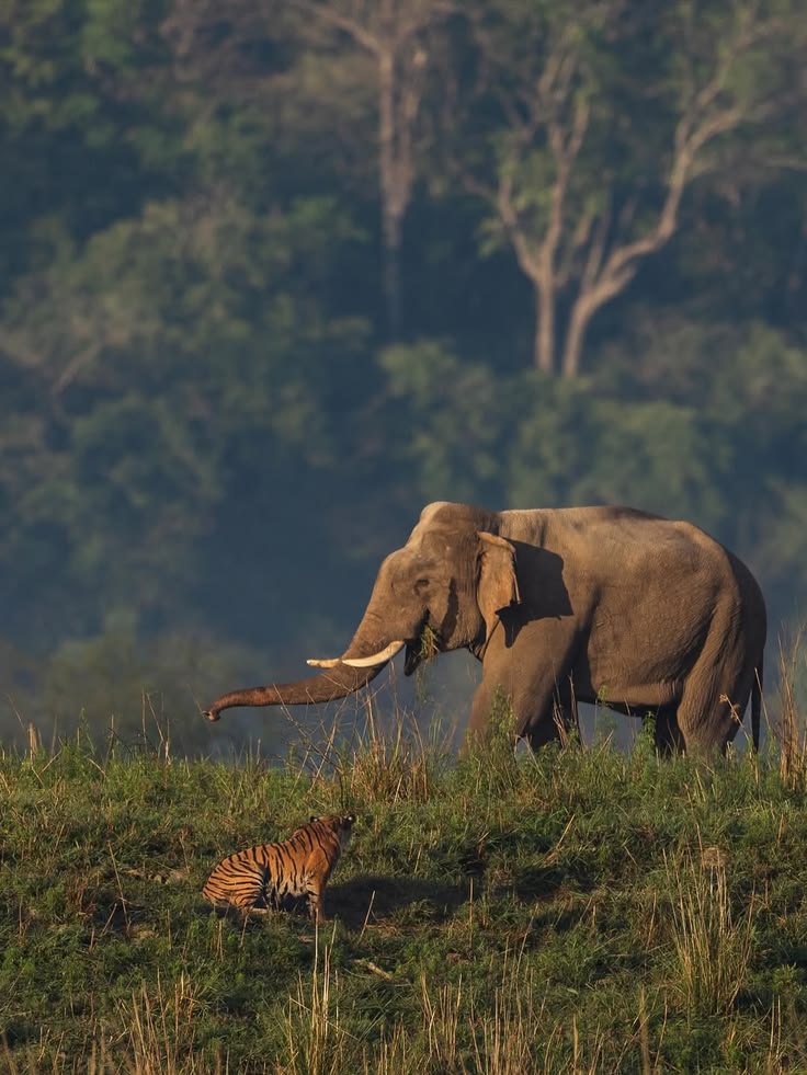 Day 1: Delhi – Jim Corbett