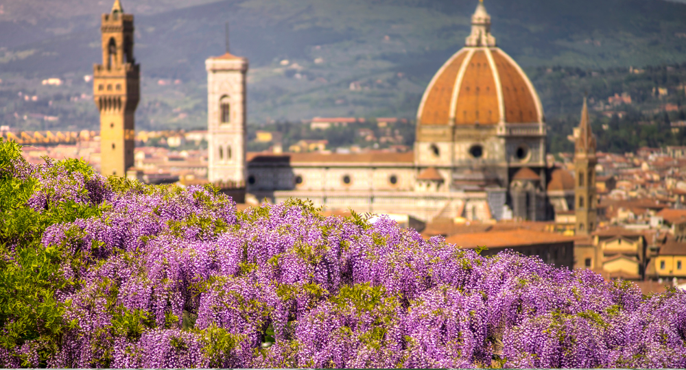 Day 11 – Florence & Pisa