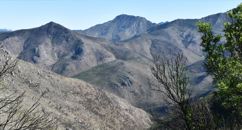 Day 4 – Cape Town to Oudtshoorn & Knysna