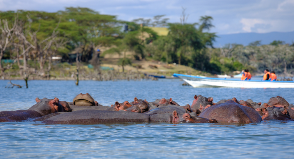 Day 5 – Lake Nakuru to Lake Naivasha