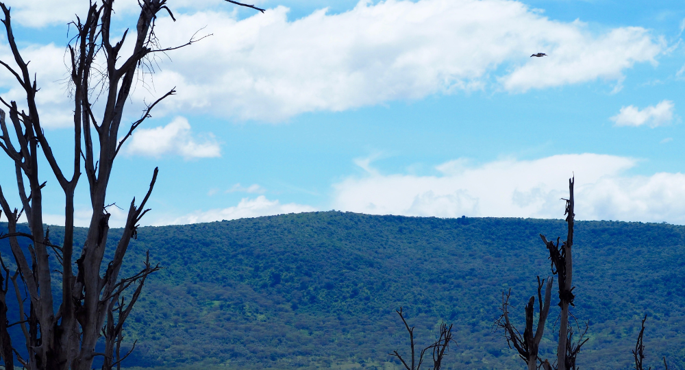 2.Day - Nairobi to Lake Nakuru National Park