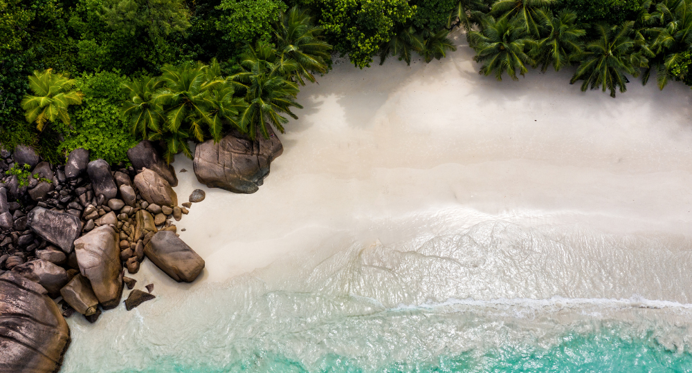 Day 1 – Arrival in Seychelles – Transfer to Praslin Island