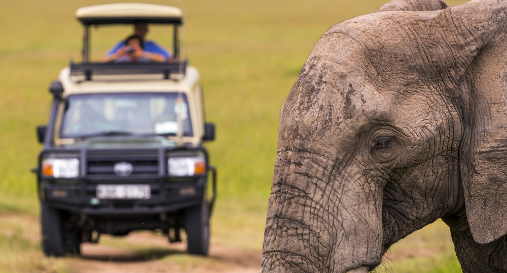 Day 3 – Full-Day Safari in Masai Mara