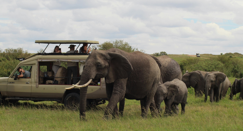 Day 7 – Full Day Safari in Samburu National Reserve