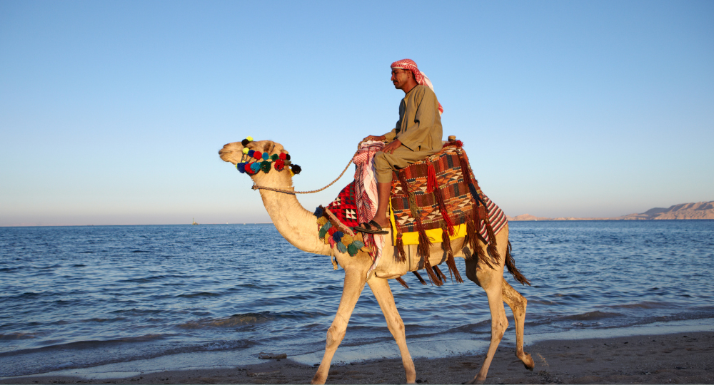 Day 8 – Leisure Day in Sharm El Sheikh