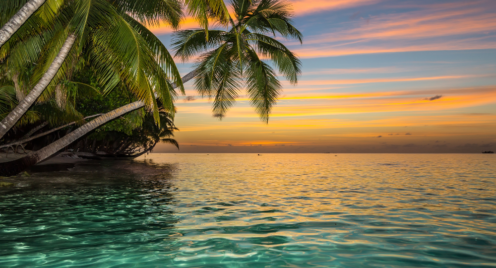 Day 3 – Explore the Tropical Paradise