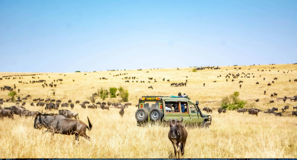 Day 5 – Another Full-Day Safari in Masai Mara