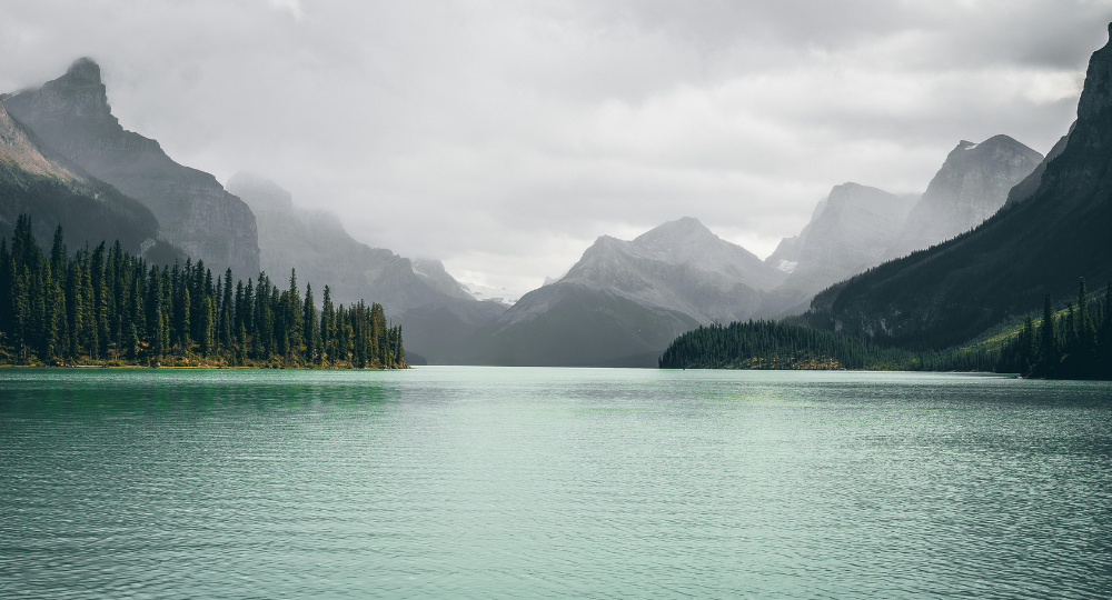 Day 4 – Masai Mara to Lake Naivasha / Lake Elementaita