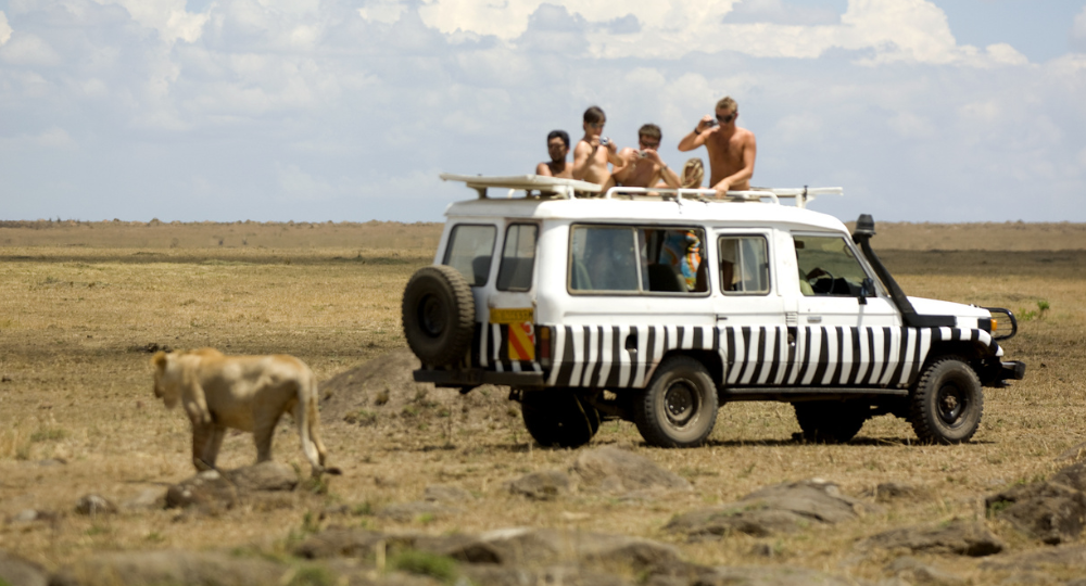Day 3 – Full Day Masai Mara Safari