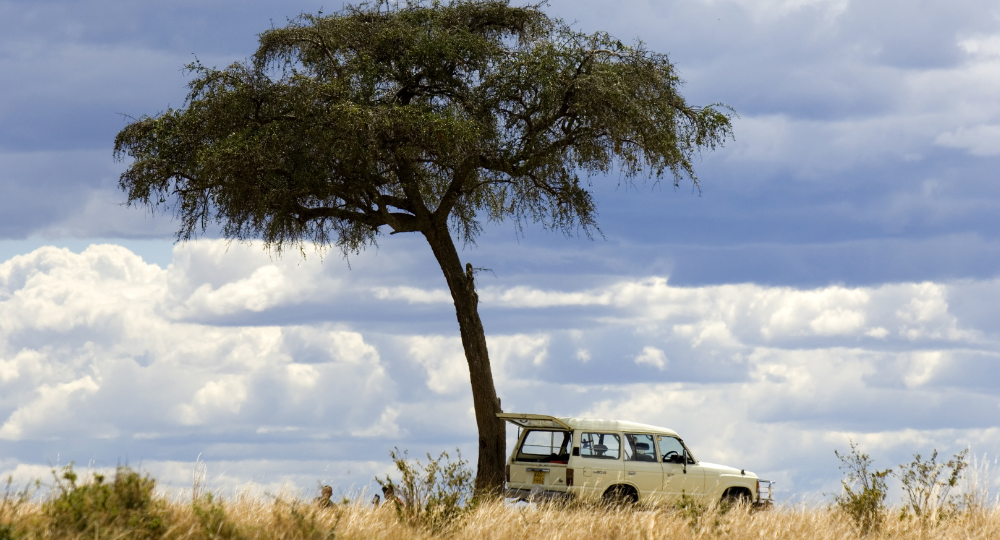 Day 3 – Full Day Safari at Masai Mara