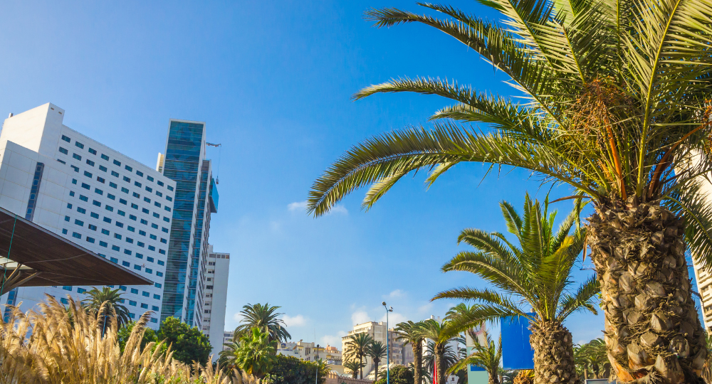 Day 2 – Casablanca City Tour & Rabat