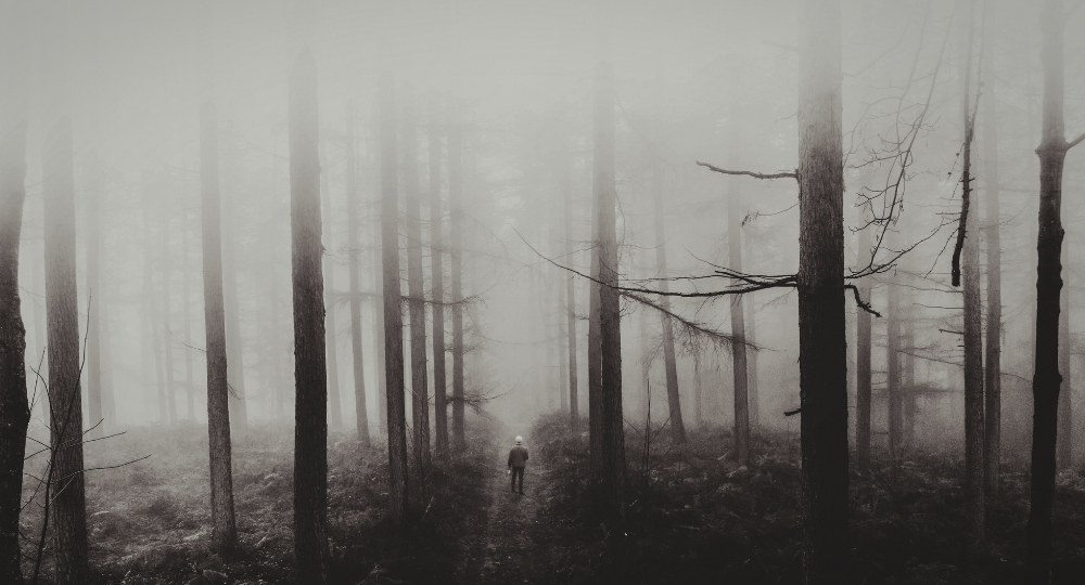 Day 6 – Black Forest • Rhine Falls • Zurich