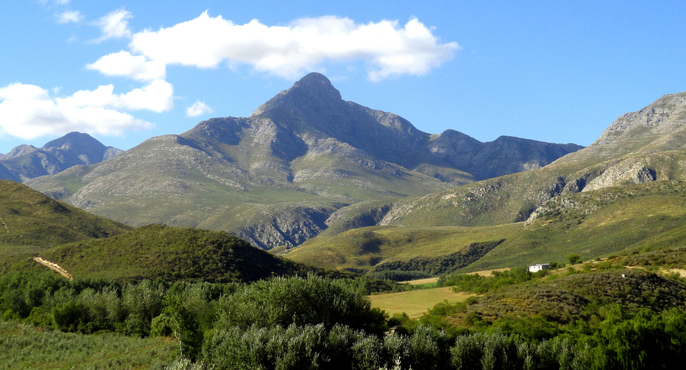 Day 4 – Cape Town to Oudtshoorn