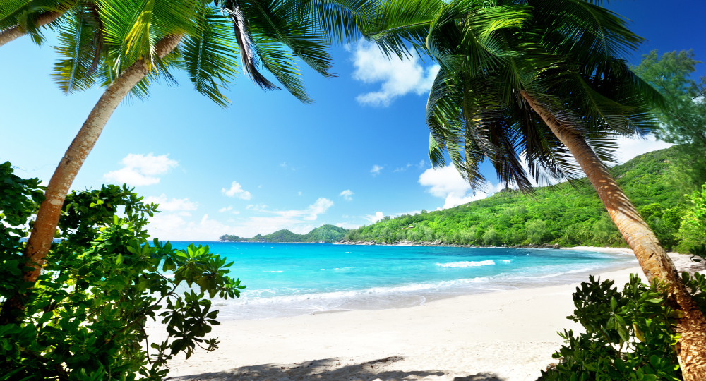Day 5 – Departure from Seychelles